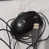 کیبورد و موس|قطعات و لوازم جانبی رایانه|گنبد کاووس, |دیوار