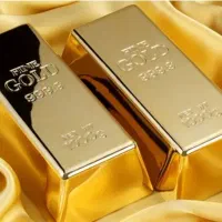 یک تکه طلا پیدا شده