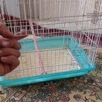 قفس|لوازم جانبی حیوانات|تهران, دانشگاه شریف|دیوار