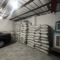 گندم بذری دیم درجه یک کم نظیر|خدمات باغبانی و درختکاری|خرم‌آباد, |دیوار