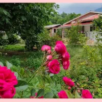 ویلای-دوخوابه-و-دربست-گردنه-حیران