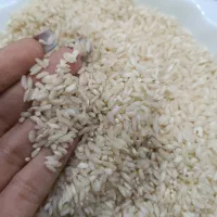 برنج درجه یک|خوردنی و آشامیدنی|شوشتر, |دیوار