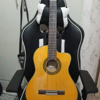 گیتار اندرس پیکاپ خور