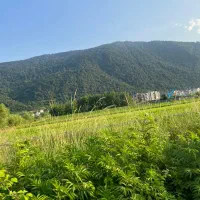 اکبرآباد-یاس-9