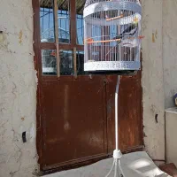 یک عدد قفس پایه دار