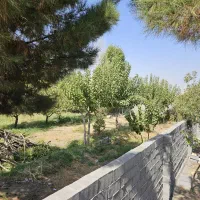 ۵۰۰ متر زمین منزل آباد