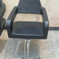 صندلی اریشگاه چکدار