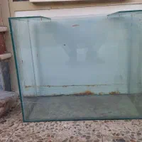 آکواریوم با شیشه ضخیم