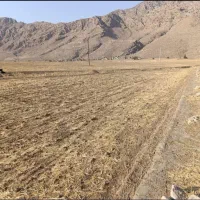 فروش زمین کشاورزی پیان