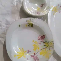 ارکوپال|ظروف سرو و پذیرایی|مشهد, طبرسی شمالی|دیوار