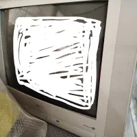 تلویزیون