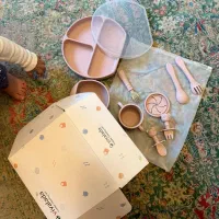 ظرف غذای سیلیکونی آمریکایی