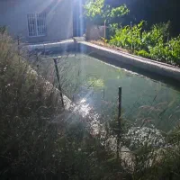 فروش زمین کشاورزی|فروش زمین و ملک کلنگی|موچش, |دیوار