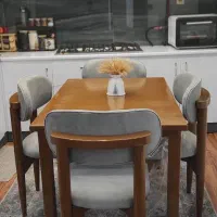 صنایع چوبی دنیز