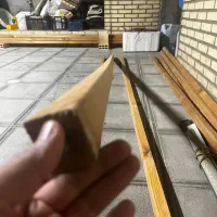 ترموود ایرانی