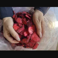 خدماتی و باغبانی