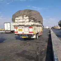 کاه کرمانشاه ذرت علوفه ای کاه گنبد