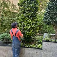 نگهداری فضای سبز. طراحی فضای سبز. محوطه سازی.روفگا|خدمات باغبانی و درختکاری|تهران, پاسداران|دیوار
