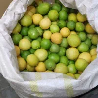 لیمو