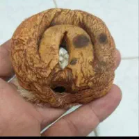 مهره،فرج الضبعه
