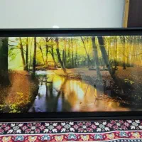 تابلو دکوری|تابلو، نقاشی، عکس|کرج, کوی کارمندان جنوبی|دیوار