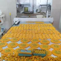 فروش عمده سوهان روغن حیوانی خالص
