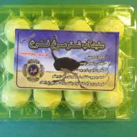 سفیداب شتر مرغ(روشور)