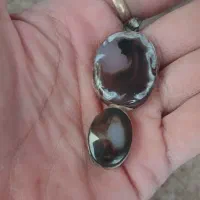 شجر مصور قاین