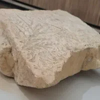 سنگ دندریت|کلکسیون اشیاء عتیقه|مشهد, هفده شهریور|دیوار