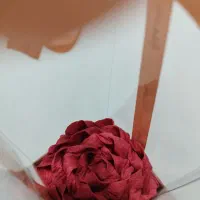 گل های که هرگز پژمرده نمیشوند...|گل و گیاه طبیعی|اهواز, کمپلو شمالی|دیوار