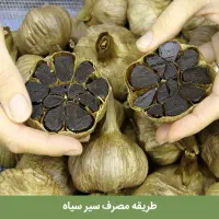 سیر سیاه فرآوری شده دکتر بیز|آرایشی، بهداشتی، درمانی|تهران, علم و صنعت|دیوار