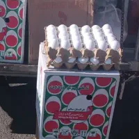 پخش تخم مرغ درشت زرده طلایی به قیمت عمده