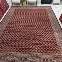 قالی ۱۲ متری هزار شانه