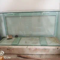 آکواریوم