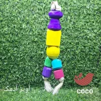 پرنده لوازم بازی و ملزومات عروس طوطی مرغ عشق|پرنده|لاهیجان, کوی زمانی|دیوار