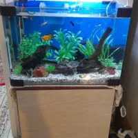 اکواریوم شیشه خم همراه وسایل ومیز و غیره