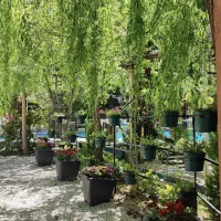 توردورهمی شناوآب بازی باغ تخت طاووس5شنبه|تور و چارتر|شیراز, گلدشت معالی‌آباد|دیوار