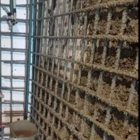 سیمانکاری،شاتکریت،سنگ چینی، دیوار چینی، مش|خدمات پیشه و مهارت|کوهسار (البرز), |دیوار