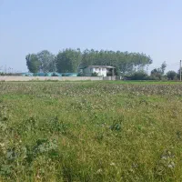 1850-متر-شالیزار-سنتی-با-قابلیت-تبدیل-به-گلخانه