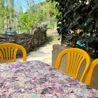 اجاره کلبه جنگلی با امکانات در جاده آبشار زیارت|اجارهٔ کوتاهمدت ویلا و باغ|گرگان, |دیوار