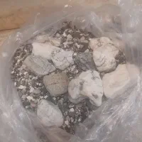 آکواریوم|ماهی|تهران, خزانه|دیوار