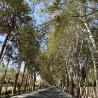 450متر-باغچه-سند-تک-برگ-لم-آباد-رضوان