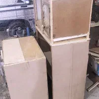 پرنده و جفت کن|پرنده|ساوه, |دیوار