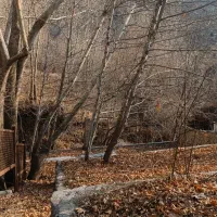 زمین-کنار-رودخانه-شاهرود