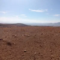 زمین گلخونه|فروش زمین و ملک کلنگی|چادگان, |دیوار