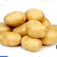 سیب زرد