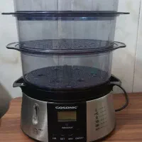 بخارپز گاسونیک
