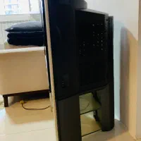 تلوزیون ال جی|تلویزیون و پروژکتور|رویان, |دیوار