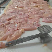 مرغ و لوازم یدکی مرغ