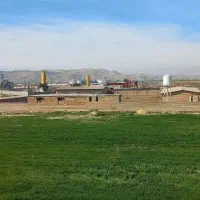 دامپروری-صنعتی-نصف-ق-ی-م-ت